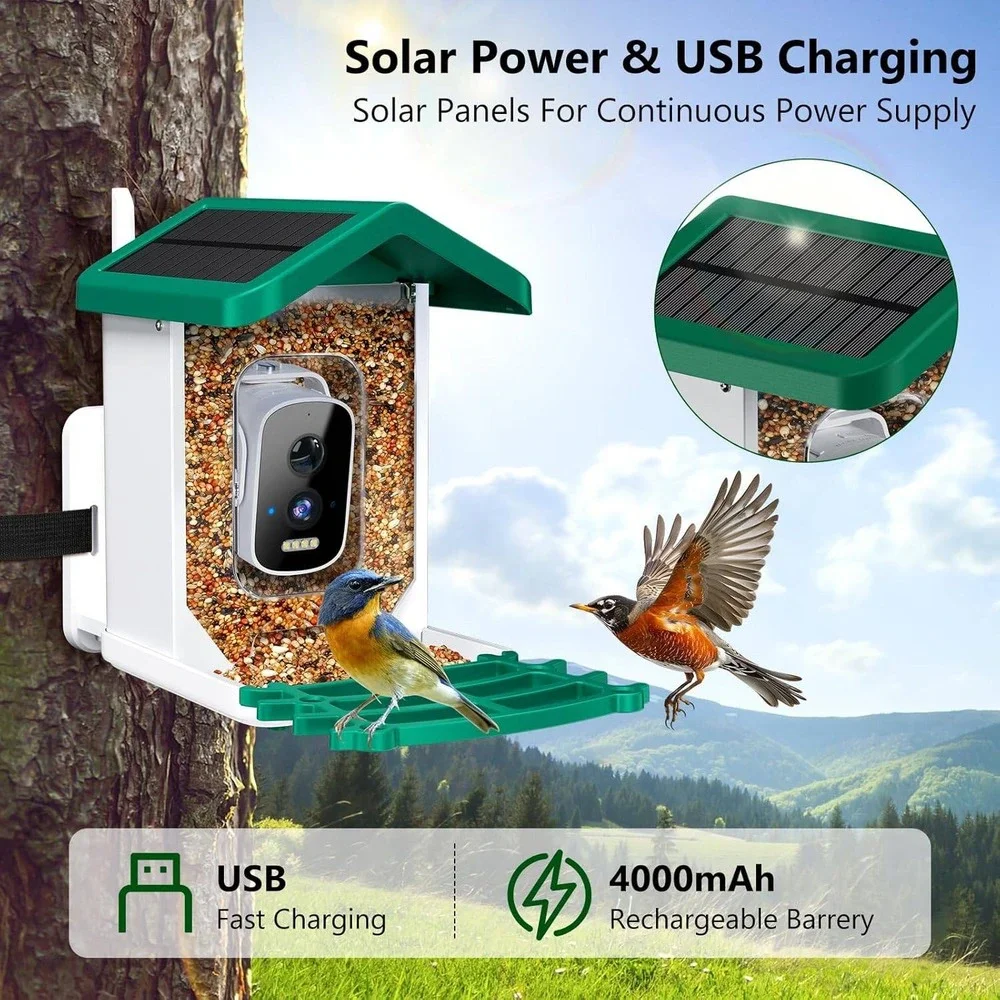 Smart Bird Feeder w/ camera, AI Bird Species Identification Solar Powered Panel